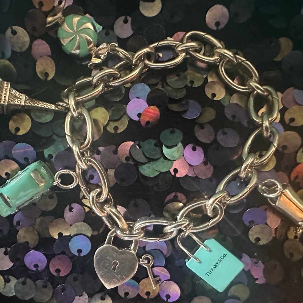 Tiffany & Co. Silver Italy 925 Oval Link Interchangeable Charm Bracelet